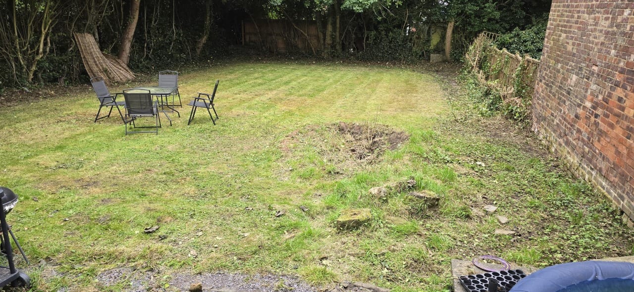 After - beautifully maintained garden with professional landscaping